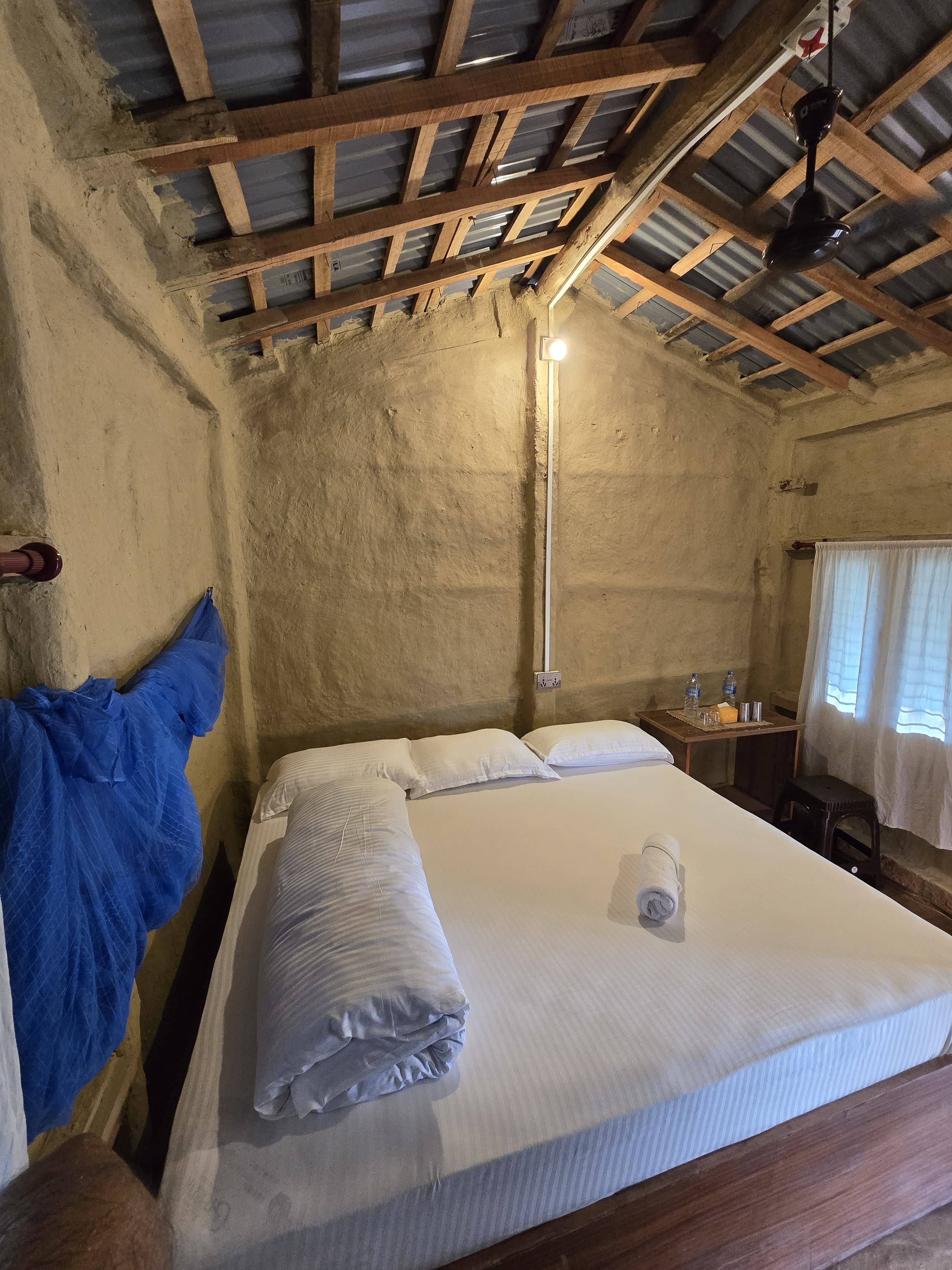 Traditional thatched-roof cottages with carved walls