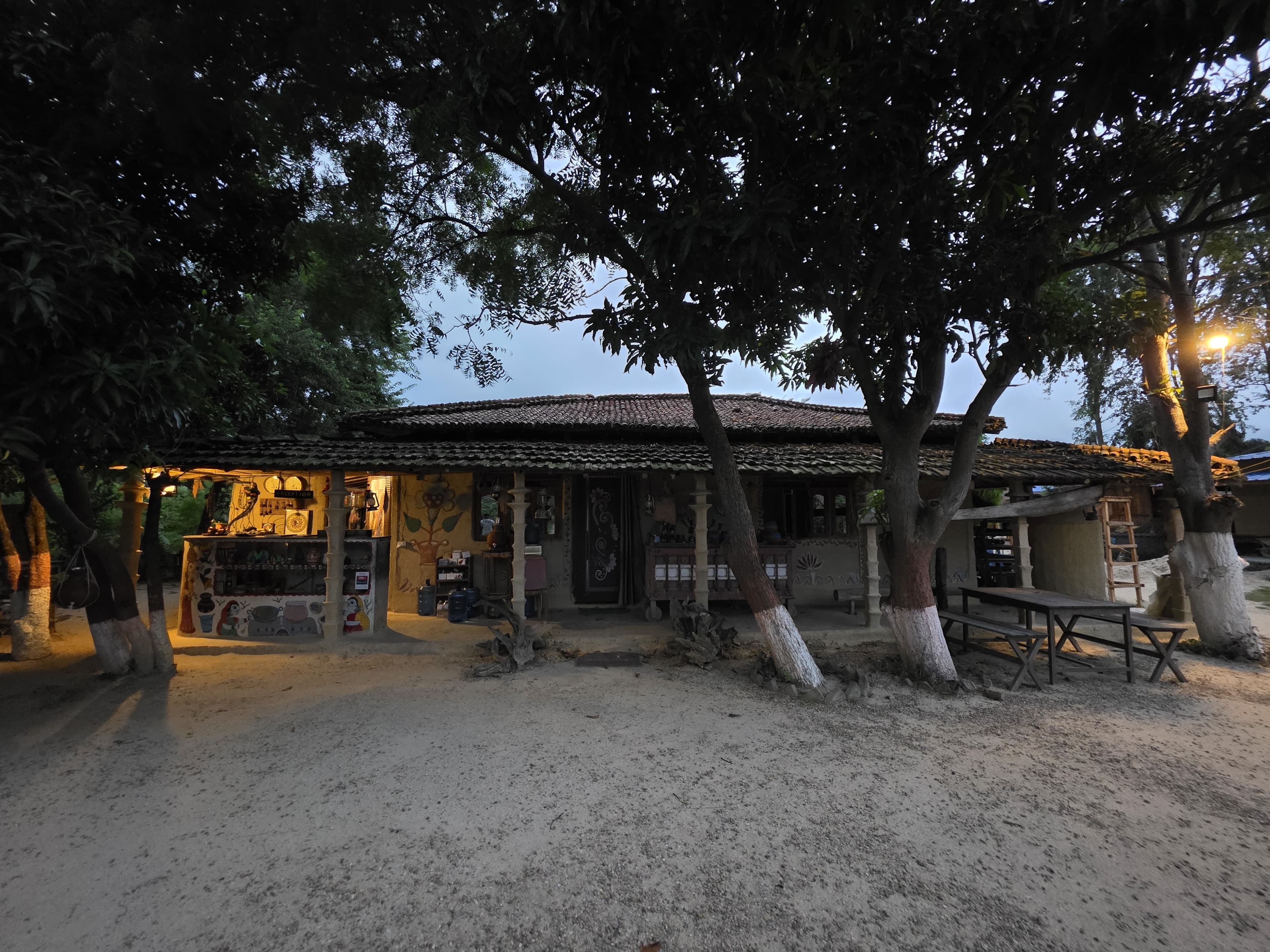 Outdoor dining under mango trees at twilight