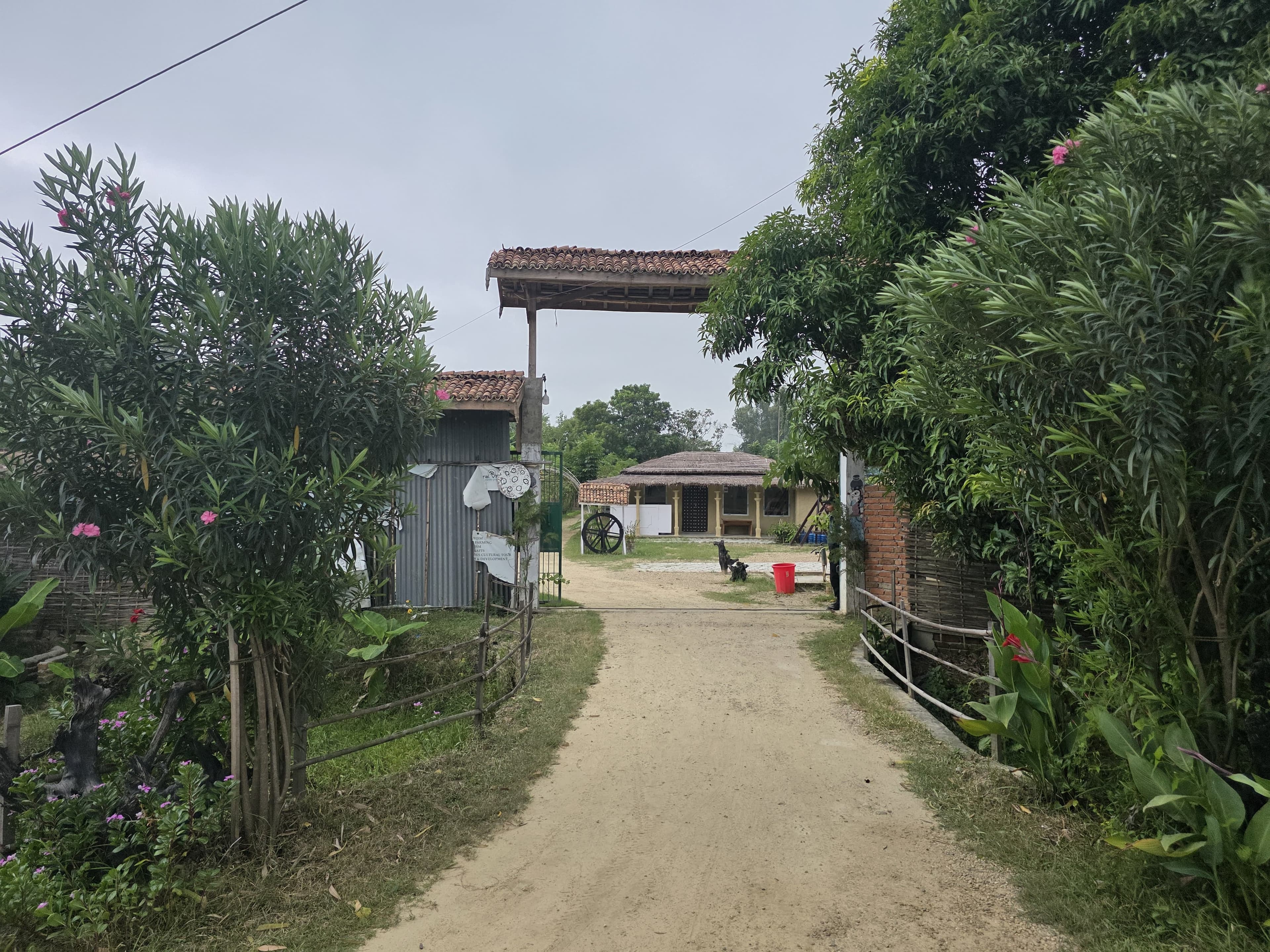 Village entrance through lush green pathway